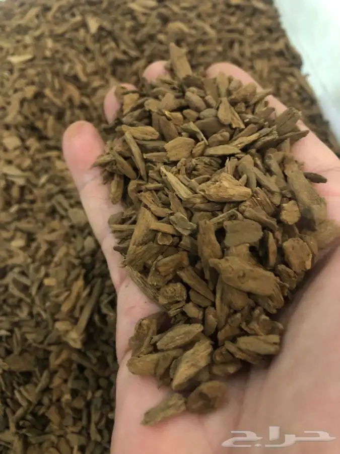 عود موروكي اصقون طبيعي 1