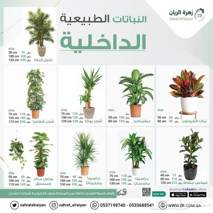 نباتات طبيعية و صناعية 1