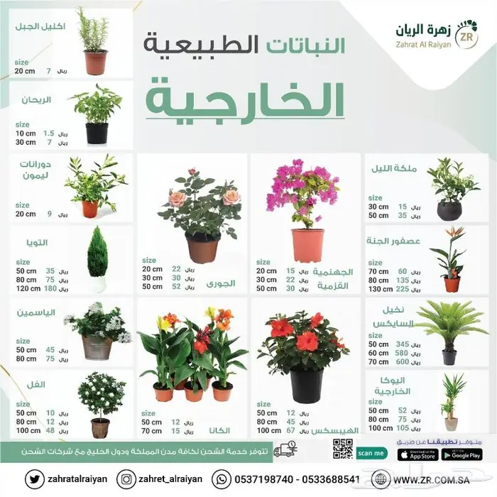 نباتات طبيعية و صناعية 2