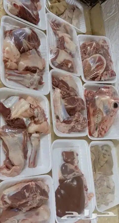 طليان حريه سواكن تربيه نظيفه من كل شيء شامل الذبح والتوصيل 10