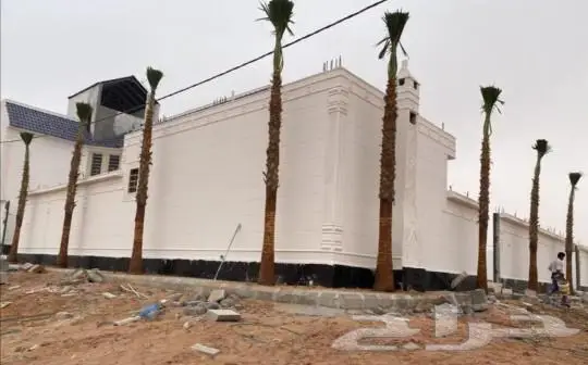 زراعه جميع انواع النخيل العربي والواشنطني 0