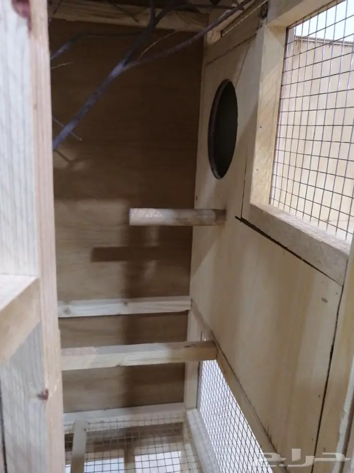 قفص مع بيت بياضه درة 4