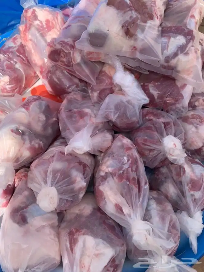 ذبايح ابو مشعل  الرس 1