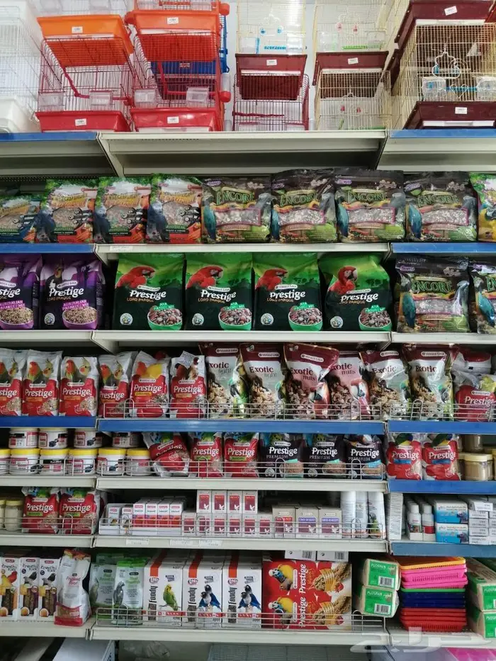 طيور زينة للبيع محل نوادر خميس مشيط 0