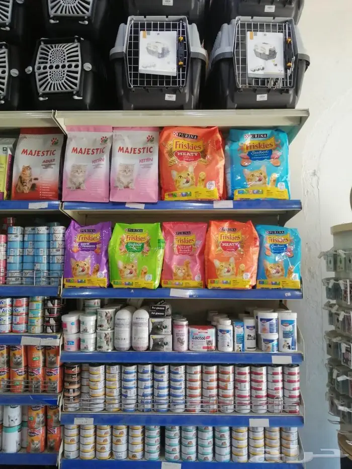 طيور زينة للبيع محل نوادر خميس مشيط 9