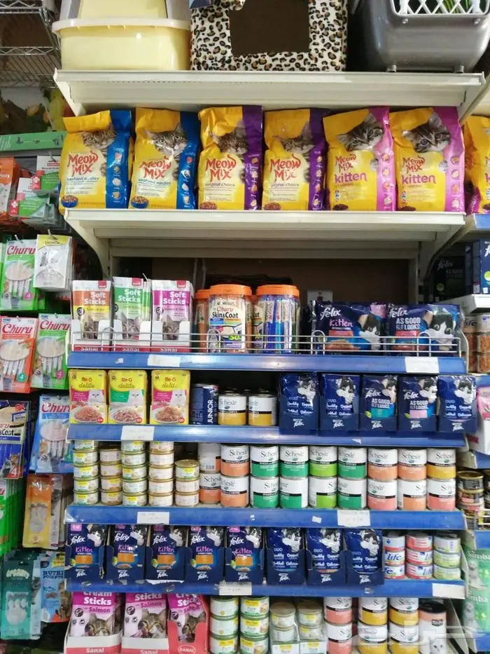طيور زينة للبيع محل نوادر خميس مشيط 3