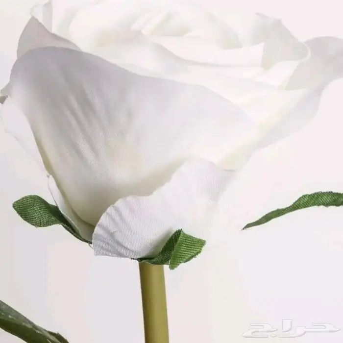 كماليات متنوعة 19