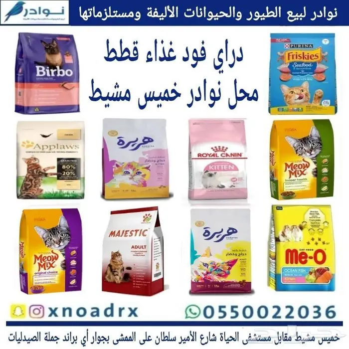 طيور زينة للبيع محل نوادر خميس مشيط 21