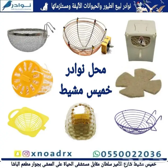 طيور زينة للبيع محل نوادر خميس مشيط 28