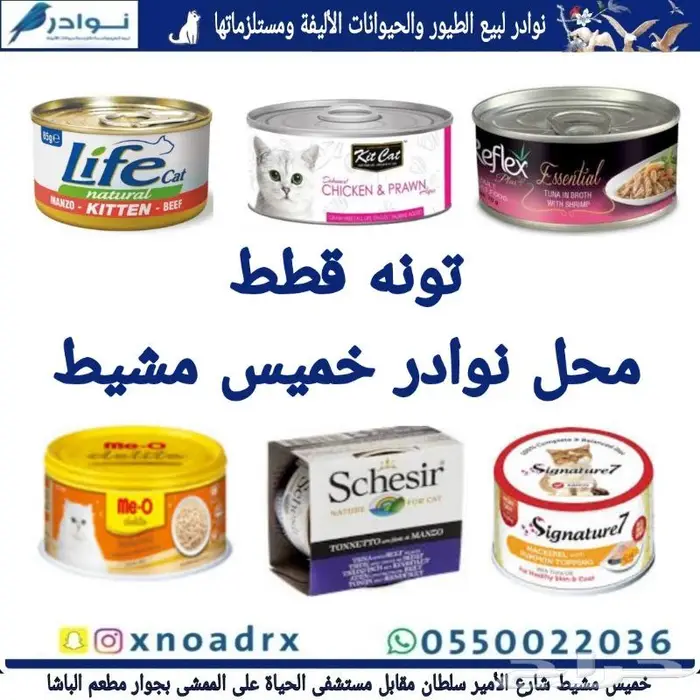 طيور زينة للبيع محل نوادر خميس مشيط 22
