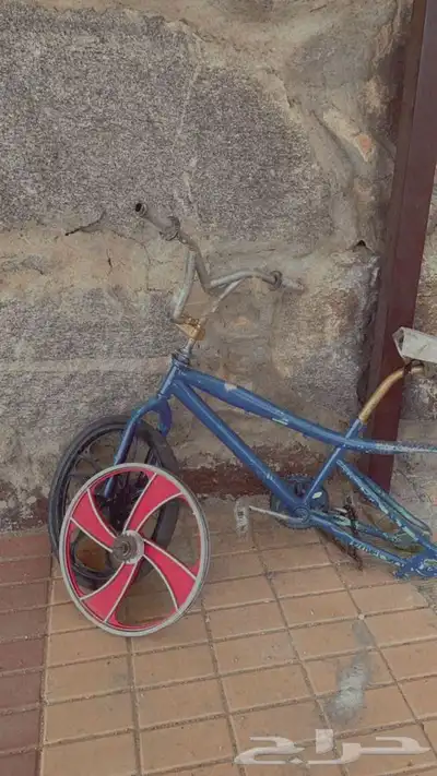 سيكل كوبرا 1