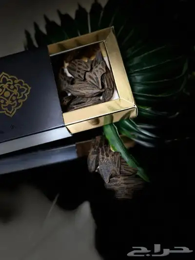 عود تايقر 0