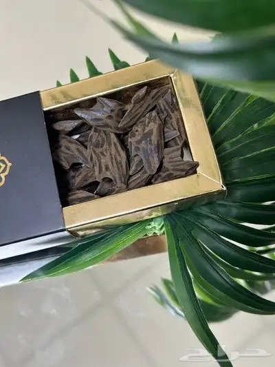 عود تايقر 1