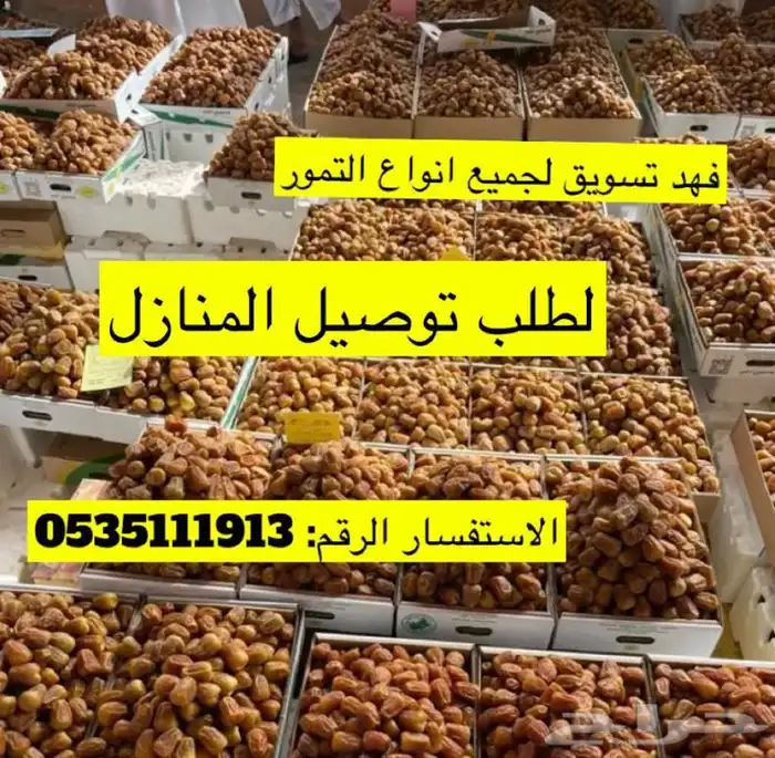 تسويق جميع انواع التمور 1