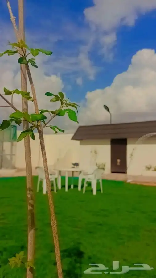 مربط ومنتجع في ديراب 11