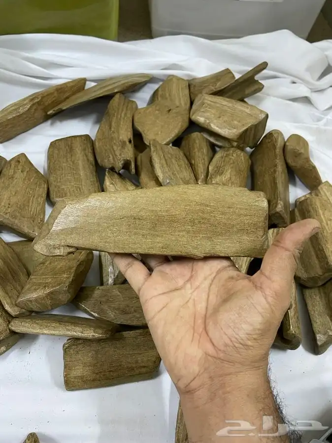 عود طبيعي موروكي ديكور فاخر 0