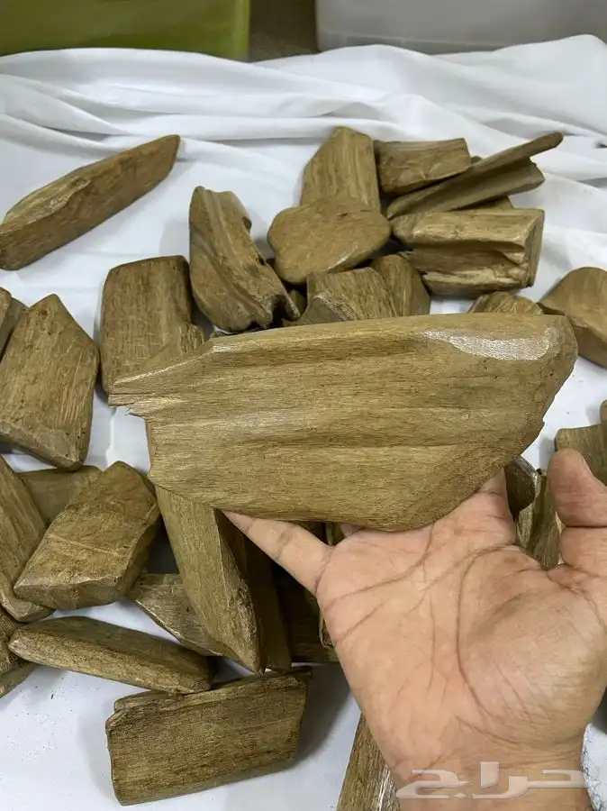 عود طبيعي موروكي ديكور فاخر 1