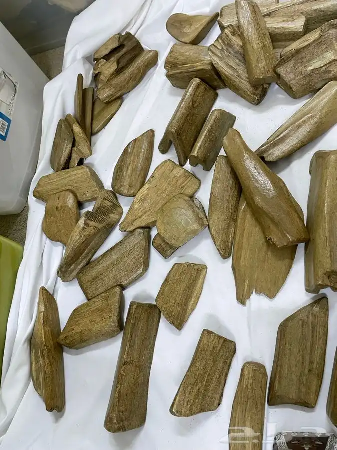 عود طبيعي موروكي ديكور فاخر 4