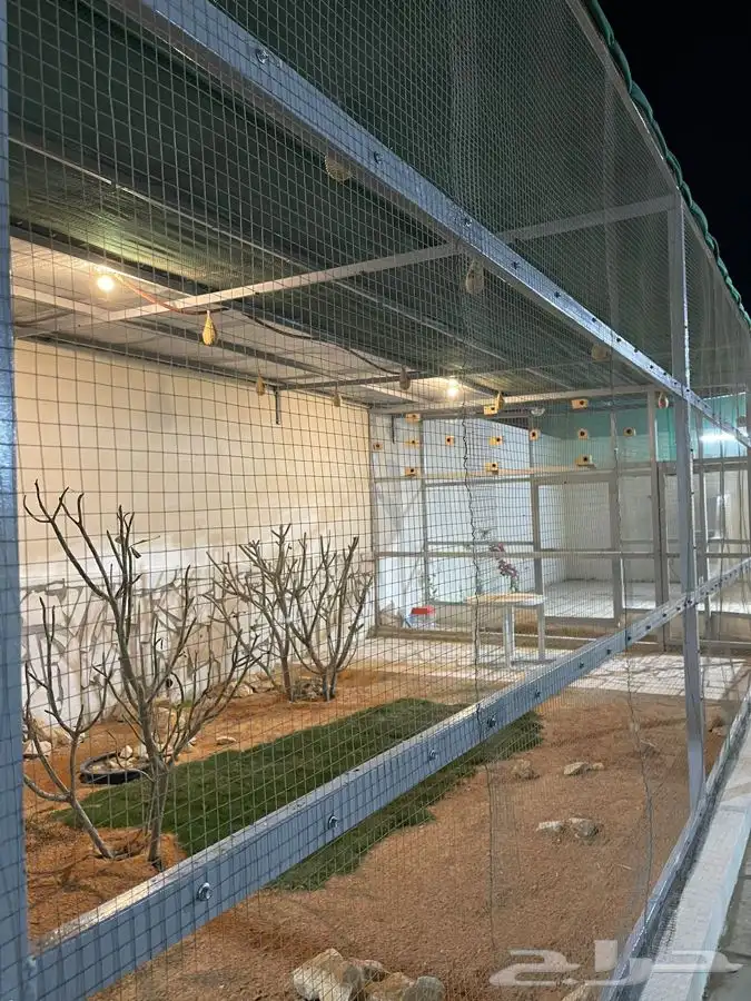 مربط ومنتجع في ديراب 4