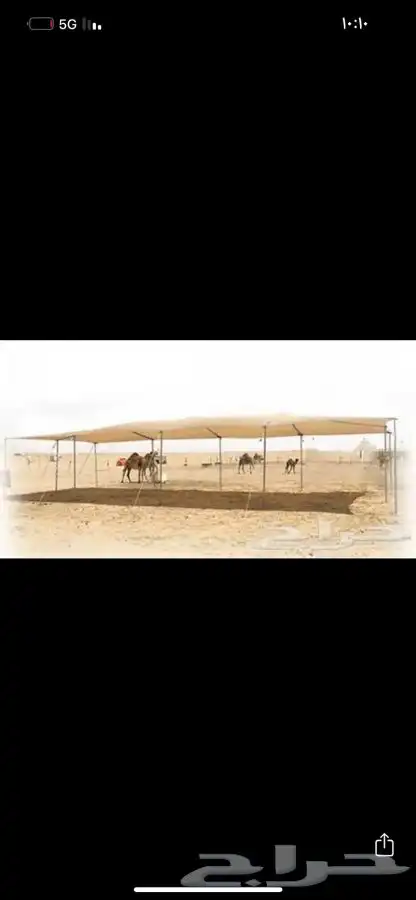 شراعات ماء وا مضلات حلال 6