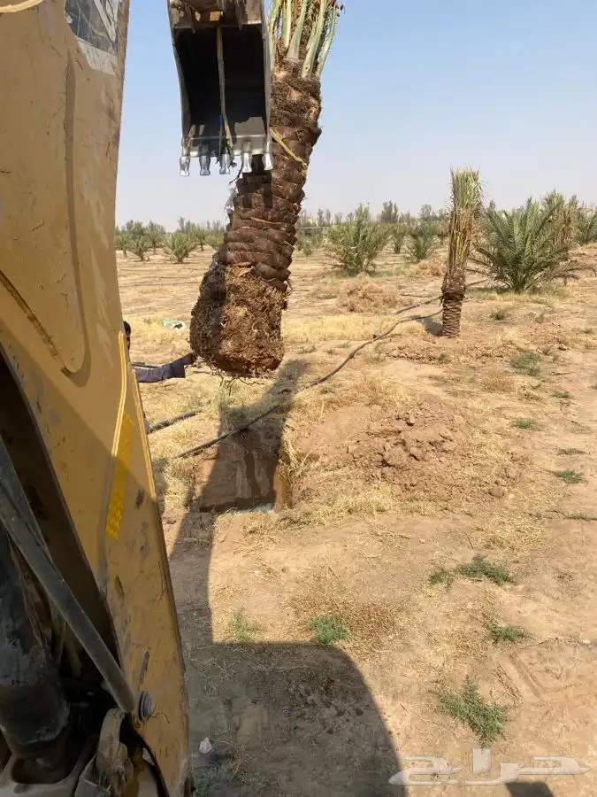 للإيجار ( عرجا جي سي بي jcb ) 2