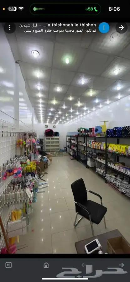 محل قطط الجنوب 2