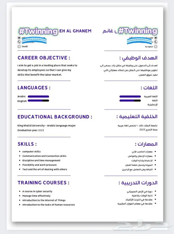 عروض بوربوينت - بحث تخرج - تصاميم جرافيك - سيرة ذاتية 0