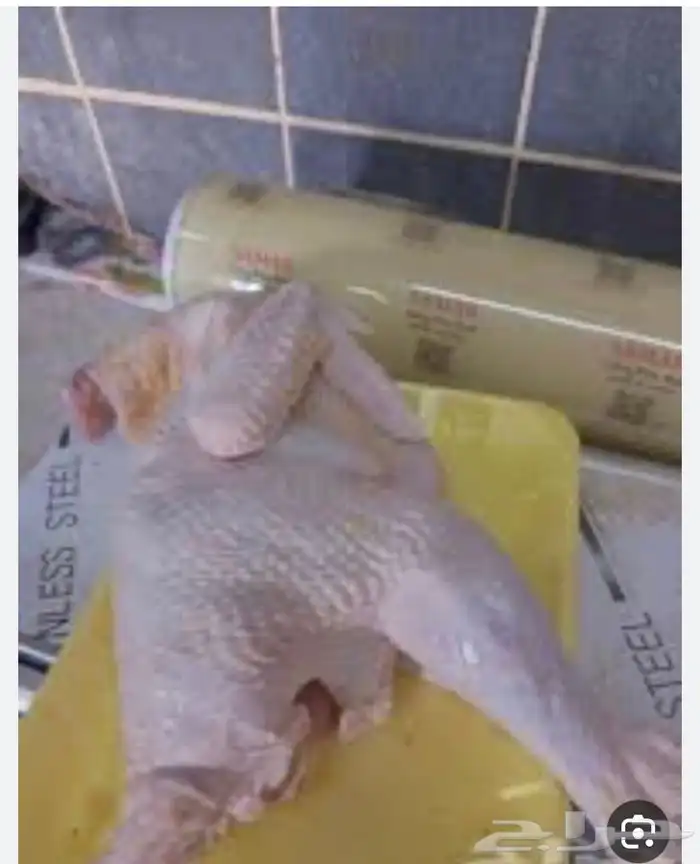 ديكة بلدي مذبوح علي الطلب 0