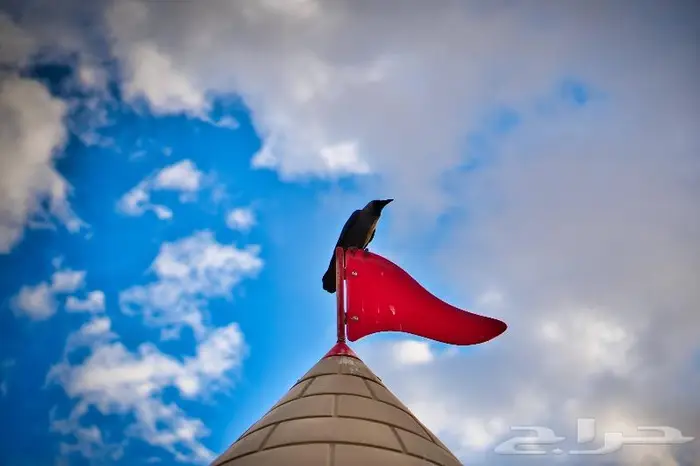 مصور مناسبات وتصوير زواجات (صور وفيديو ودرون) في ينبع 10