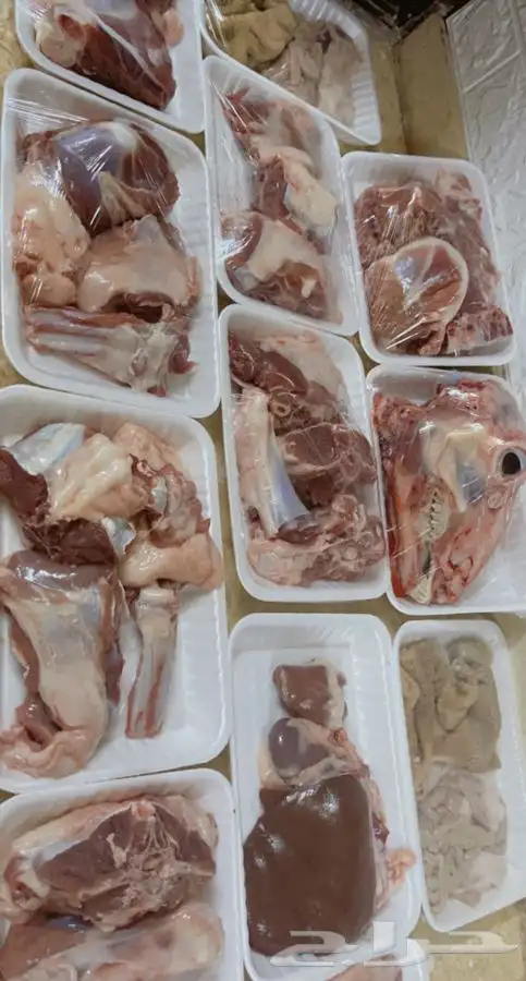 طليان سواكن وذبائح حريه نضمن لك جودتها ونظافتها من كل شي 0