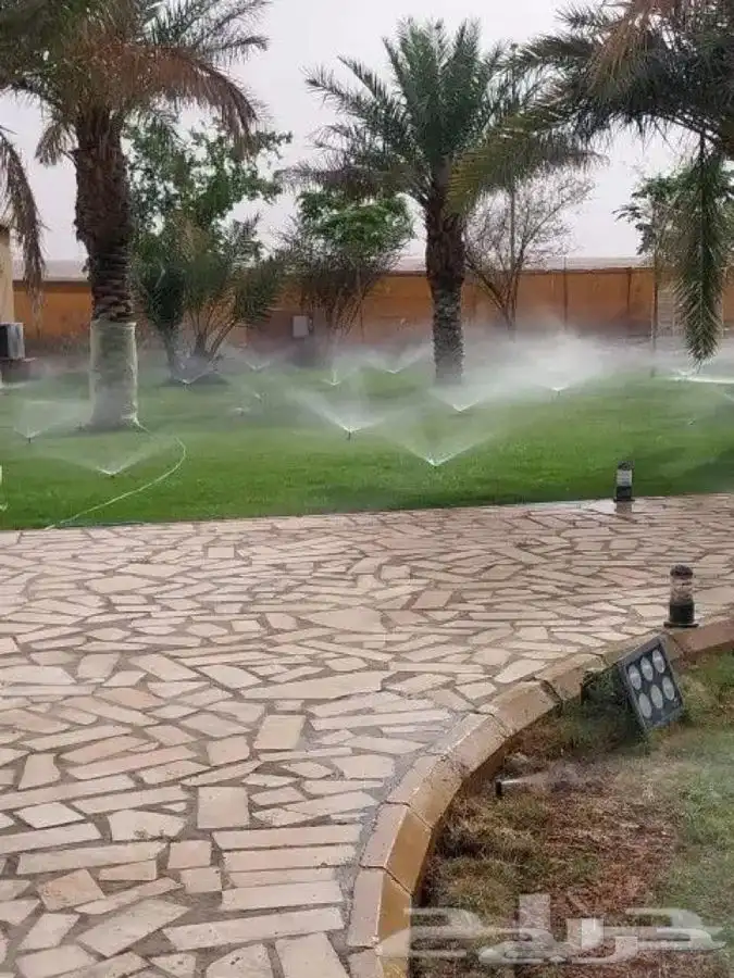 تركيب الثيل الطبيعي C2000 الفرنسي 1
