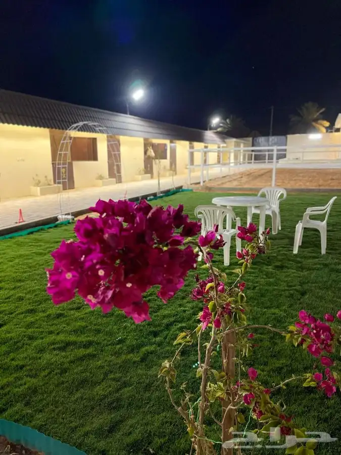 مربط ومنتجع 3