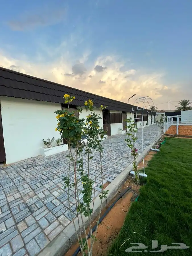 مربط ومنتجع 5