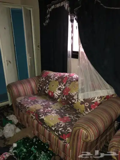 كنب نضيف يحتاج غسيل 1