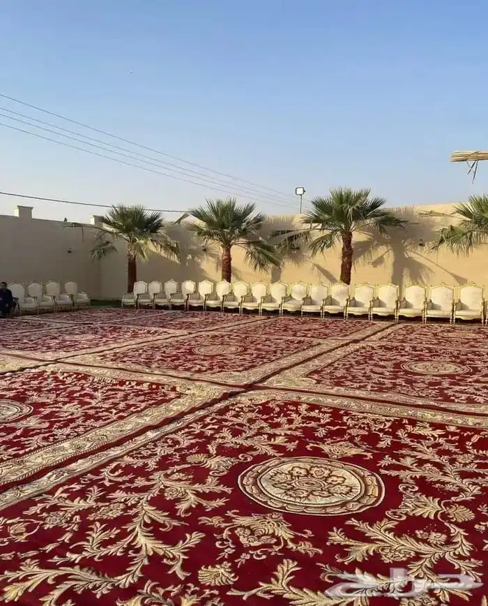 قهوجين وصبابين رجال ونساء 37