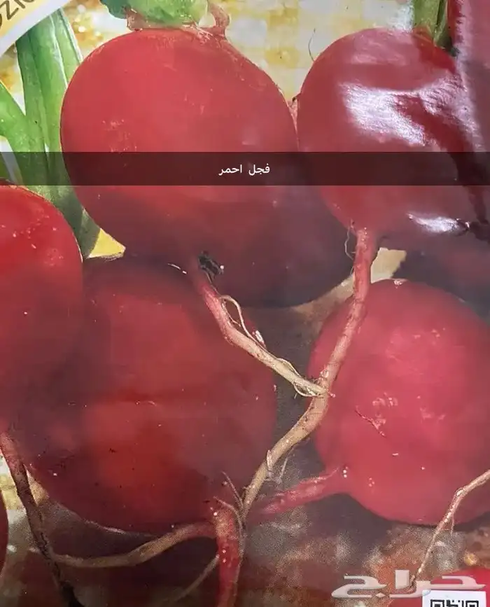 بذور خضروات. ورقيات 6