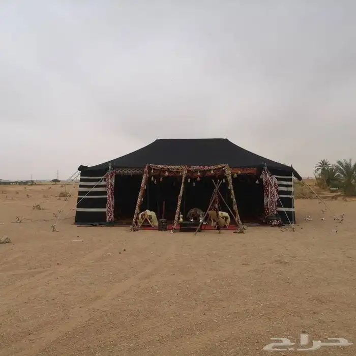 قهوجين وصبابين رجال ونساء 40
