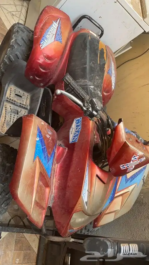 جينان دباب 1