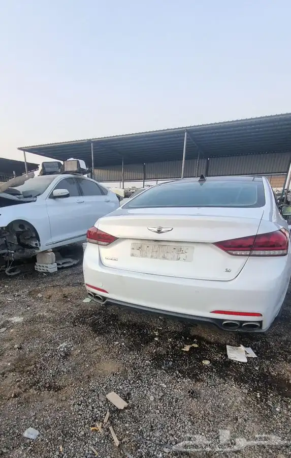 جنسيس رويال2016 8سرندل 1