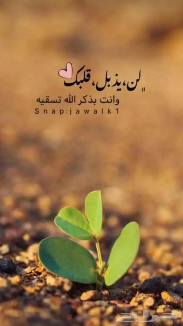 جديد فضة فاخرة أصلي بختم عيار 925 19