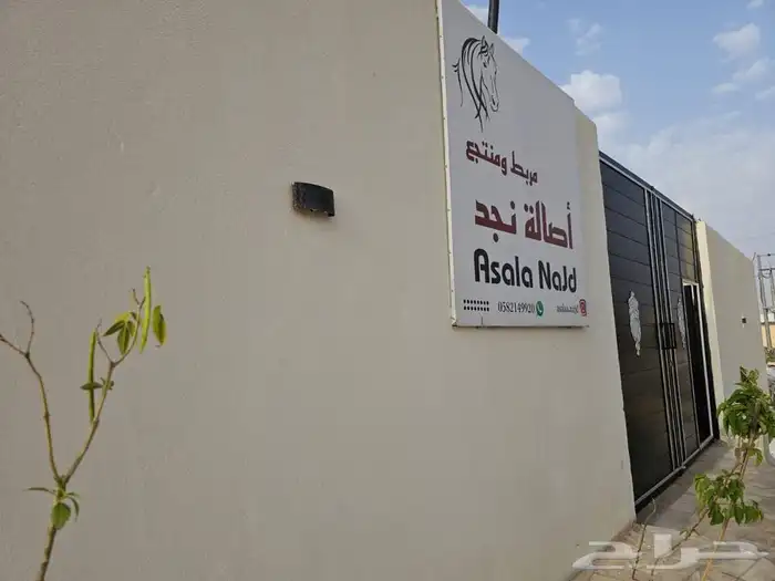 شالية ومربط ب ( ديراب ) 16