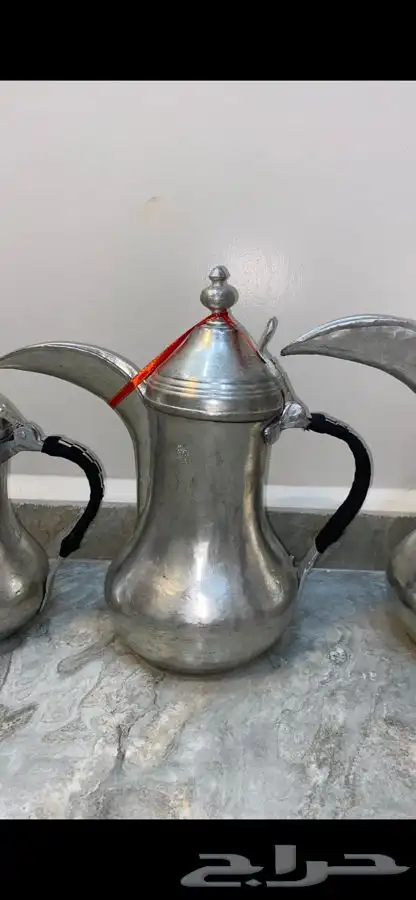 دلال مهدي الصالح 20