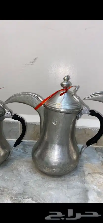 دلال مهدي الصالح 18