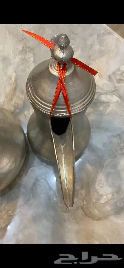 دلال مهدي الصالح 6