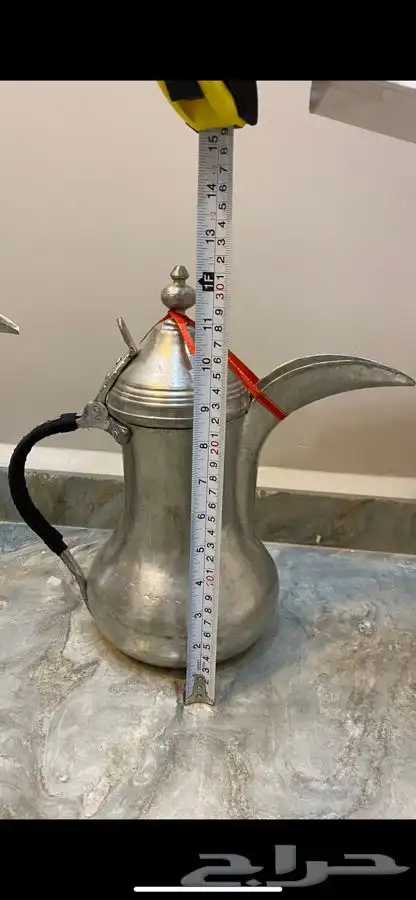 دلال مهدي الصالح 2
