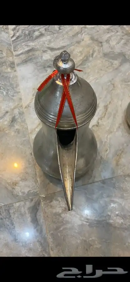 دلال مهدي الصالح 8