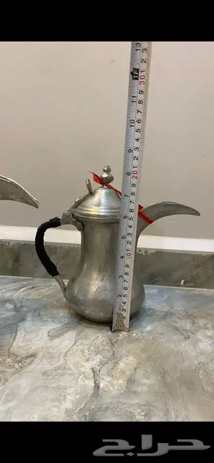 دلال مهدي الصالح 4