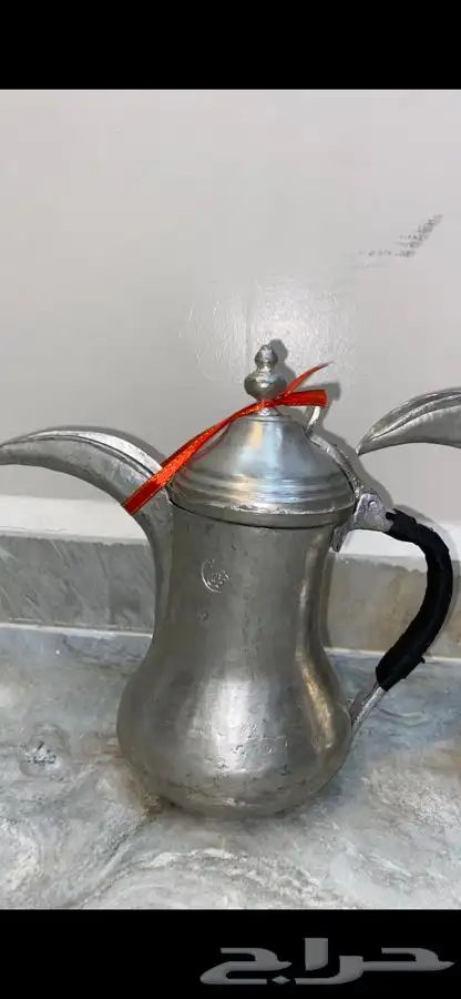 دلال مهدي الصالح 21