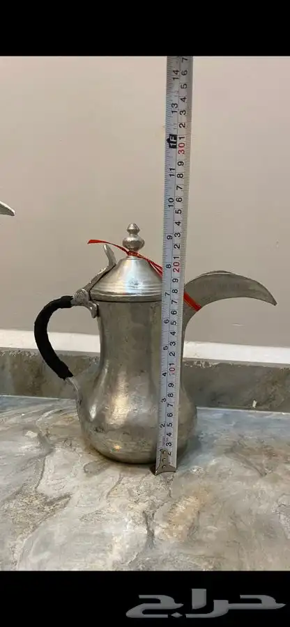 دلال مهدي الصالح 3