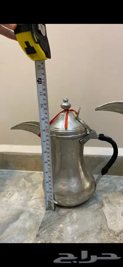دلال مهدي الصالح 5
